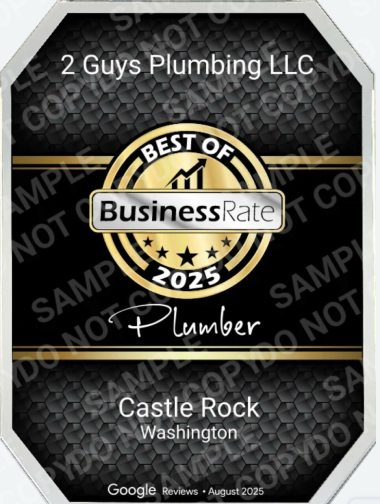 business-rate-best-plumber-2025